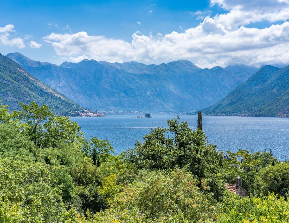 Villa Amfora Lipci Εξωτερικό φωτογραφία